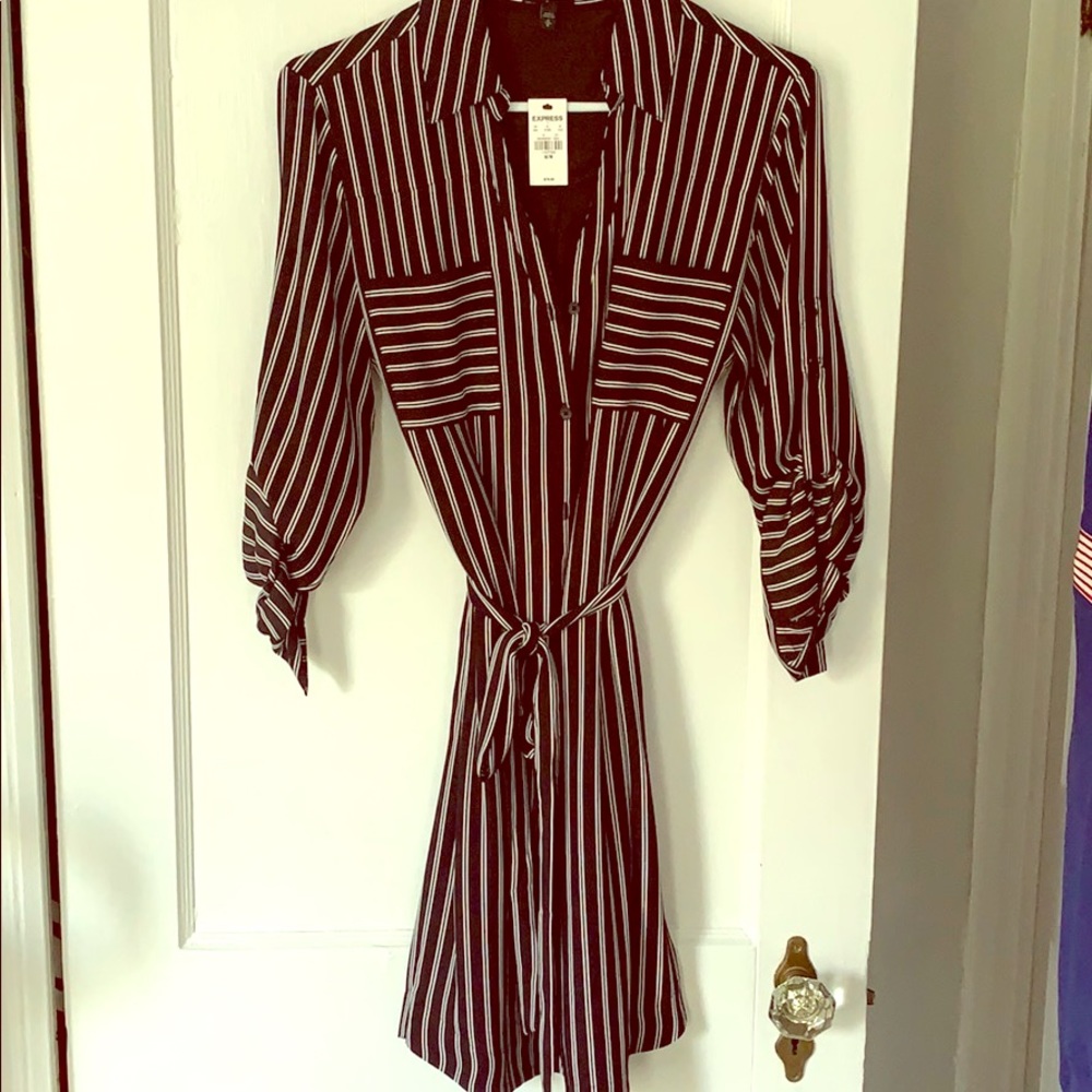Express Shirt Dress